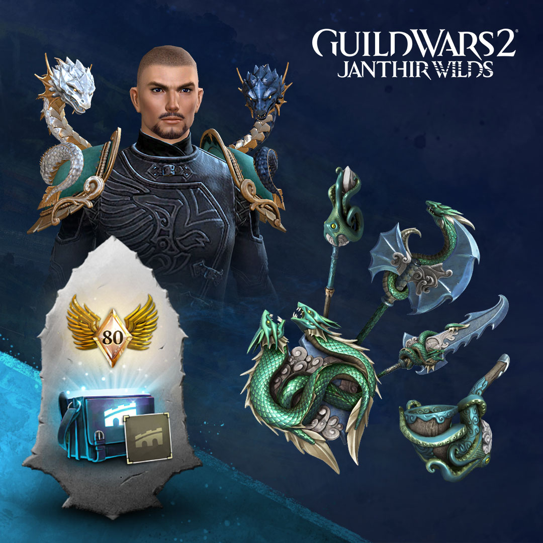 Guild wars 2